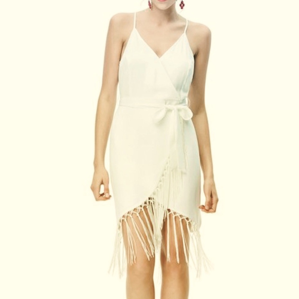 White Fringe Dress Naked Zebra